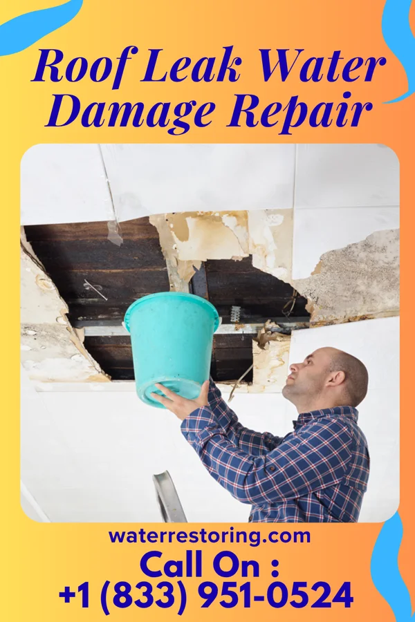 Roof Leak Water Damage Repair in Brewster, WA